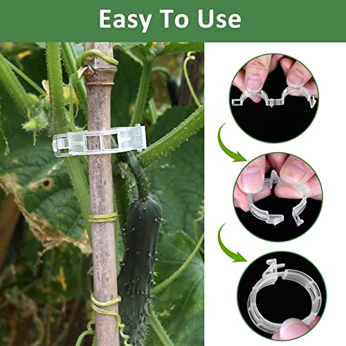 Oligei 200 Pcs Tomato Clips, Plastic Trellis Clips for Plant Support, Ideal for Grape, Tomato & Vegetable Plants - Image 5