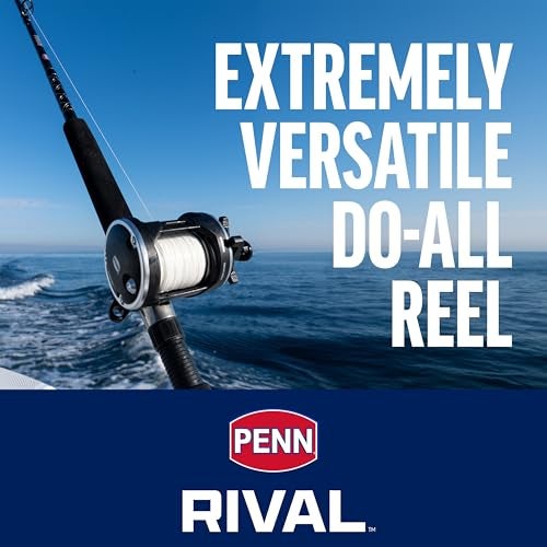 PENN Rival Level Wind Conventional Boat Fishing Reel, HT-100 Star Drag, Max of 15lb | 6.8kg, Forged and Machined Aluminum Spool,Black - Image 2