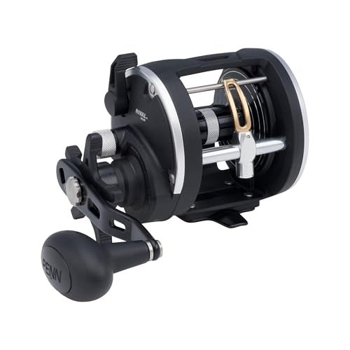 PENN Rival Level Wind Conventional Boat Fishing Reel, HT-100 Star Drag, Max of 15lb | 6.8kg, Forged and Machined Aluminum Spool,Black - Image 1