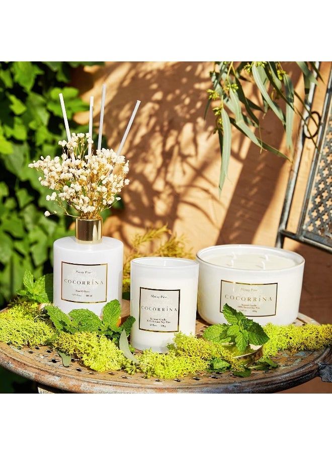 Cocorrína Premium Reed Diffuser Set with Preserved Baby's Breath & Cotton Stick Coconut Lime