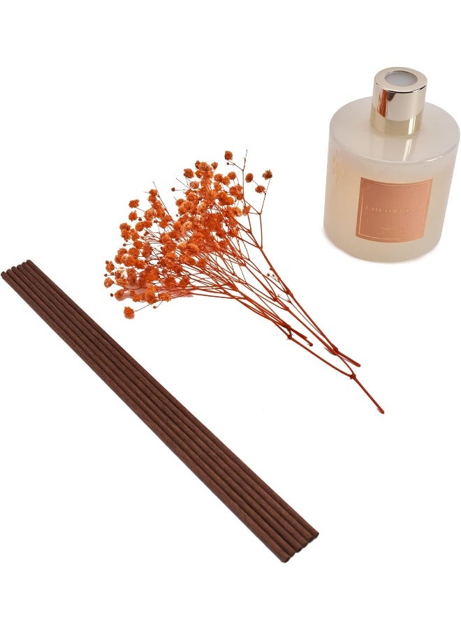 Cocorrína Premium Reed Diffuser Set with Preserved Baby's Breath & Cotton Stick Coconut Lime