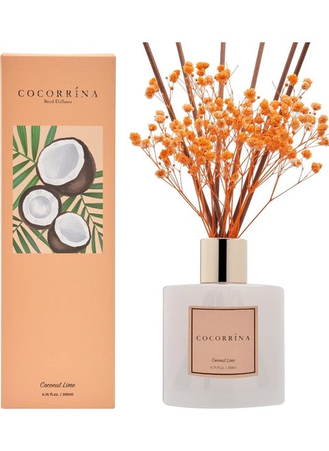 Cocorrína Premium Reed Diffuser Set with Preserved Baby's Breath & Cotton Stick Coconut Lime