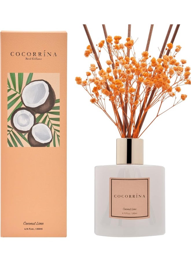 Cocorrína Premium Reed Diffuser Set with Preserved Baby's Breath & Cotton Stick Coconut Lime