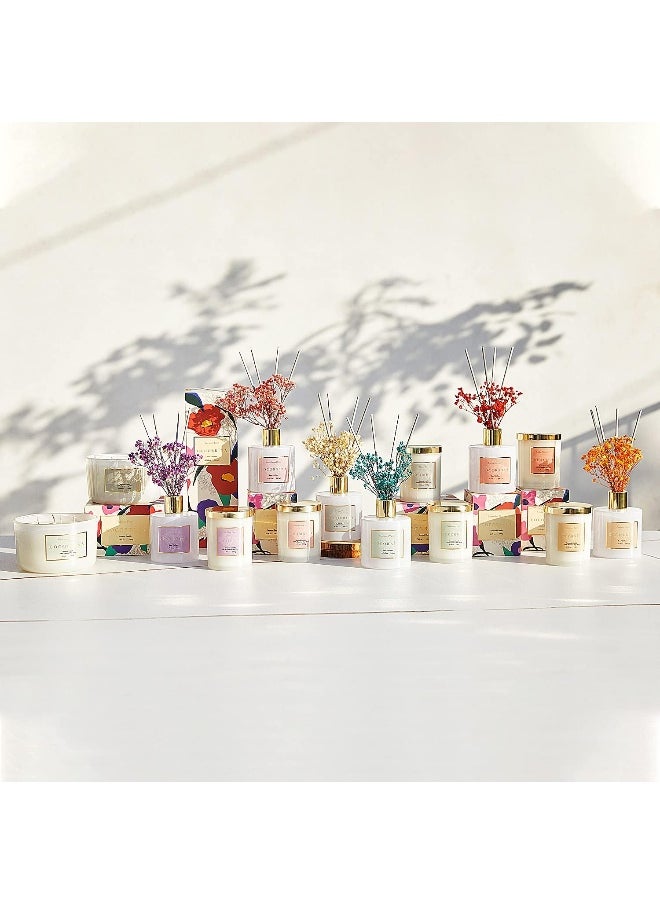 Cocorrína Premium Reed Diffuser Set with Preserved Baby's Breath & Cotton Stick Coconut Lime