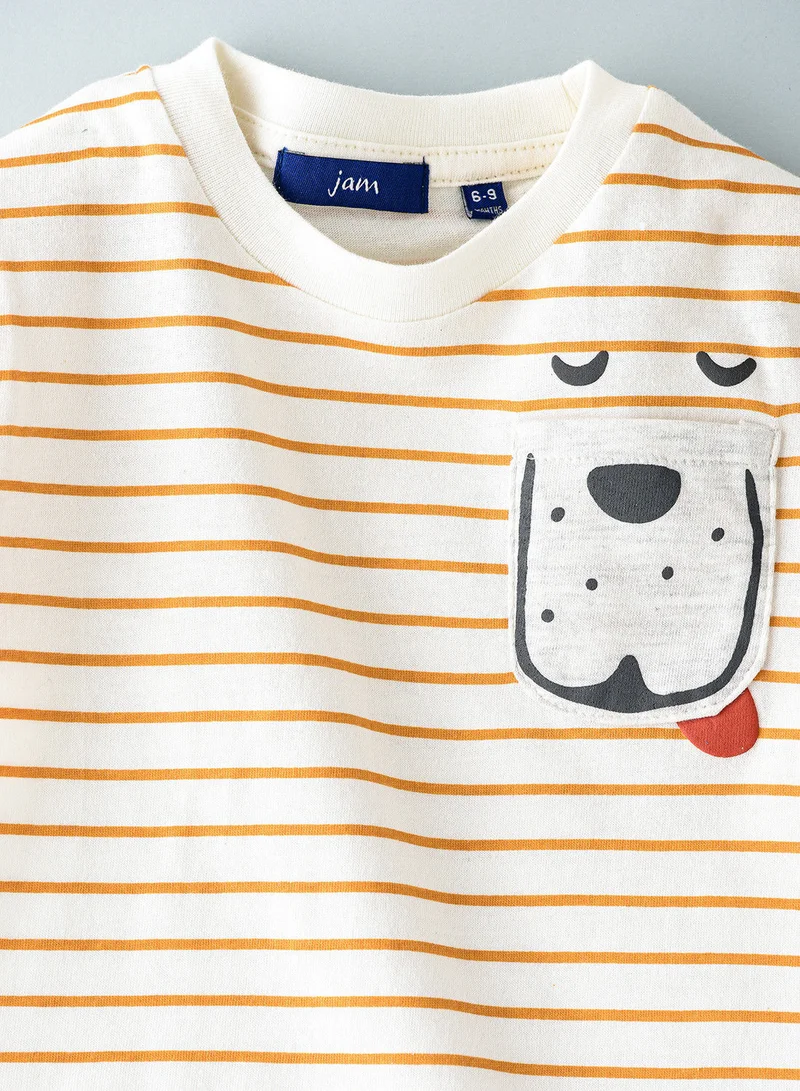 JAM Knit t-shirt with stripes