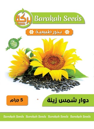 عباد شمس زينة