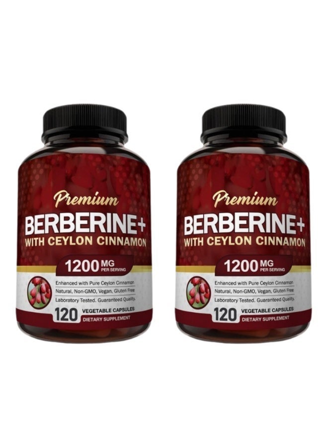 Premium Berberine HCL 1200mg, 120 Capsules - Plus Pure True Ceylon Cinnamon, Berberine HCI Root Supplements Pills - Immune System - yields an Optimal 8% HCl - 2 Bottles - Image 1