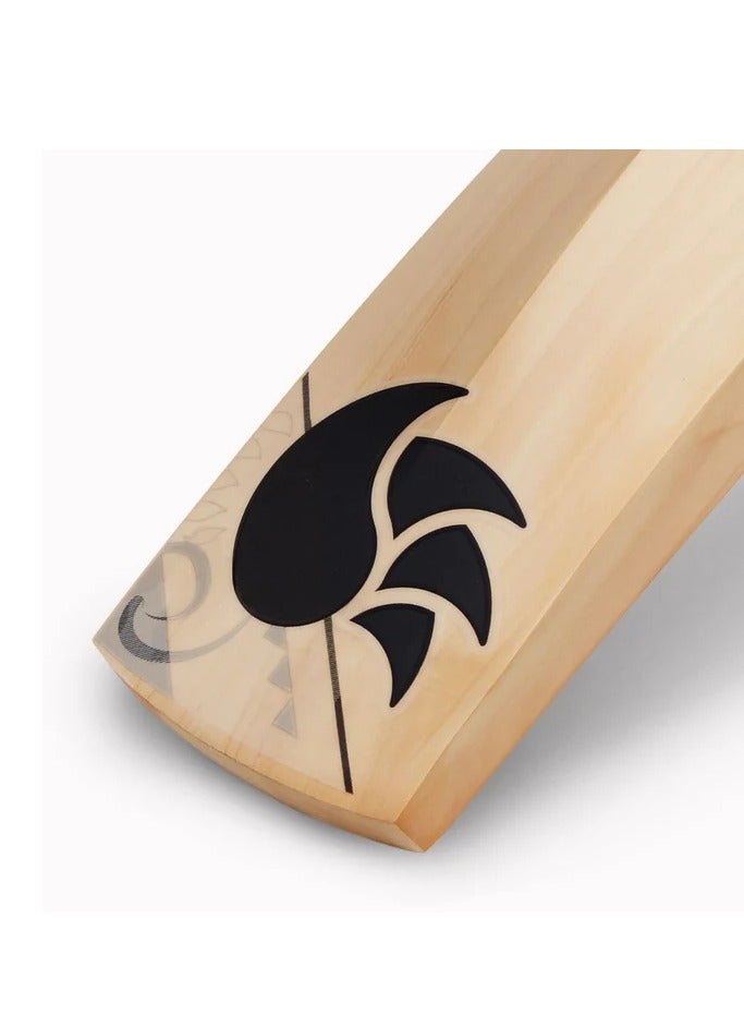 DSC Blak 50 - Image 2