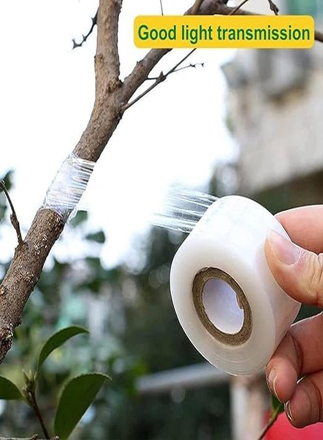 AR TAPES & PLASTICS AR 3 inch x 100mtr Grafting Stretchable Tape for Nursery and Garden, Biodegradable Plant Repair Tapes Self-Grafting Clear Film for Fruit, Floral, Tree and Plants Grafting Film Tool (1) - Image 5