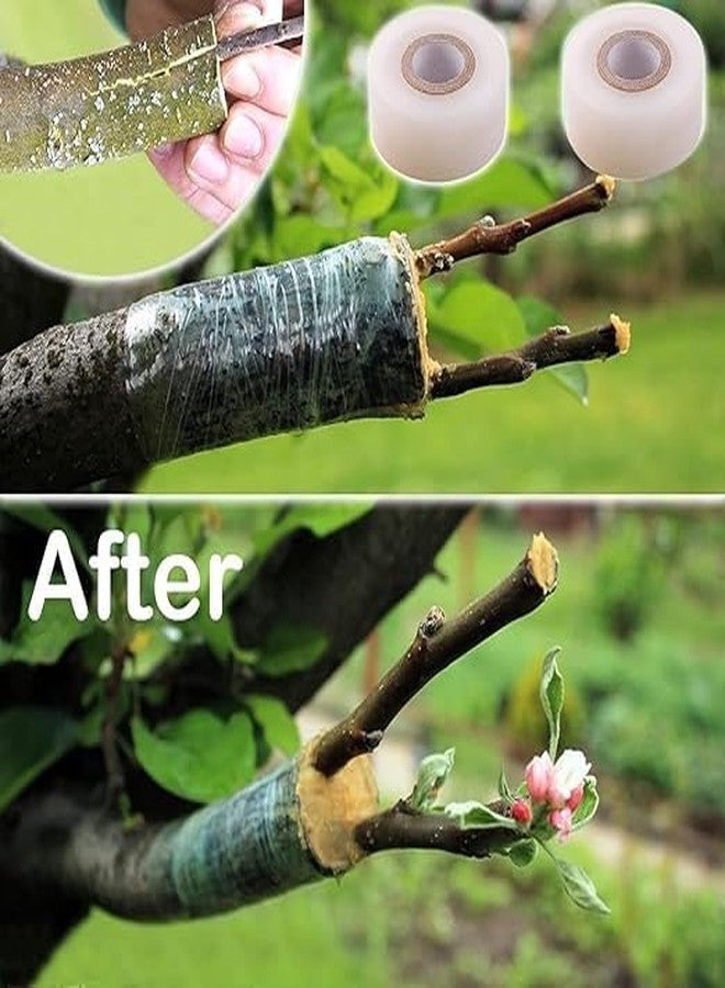AR TAPES & PLASTICS AR 3 inch x 100mtr Grafting Stretchable Tape for Nursery and Garden, Biodegradable Plant Repair Tapes Self-Grafting Clear Film for Fruit, Floral, Tree and Plants Grafting Film Tool (1) - Image 4