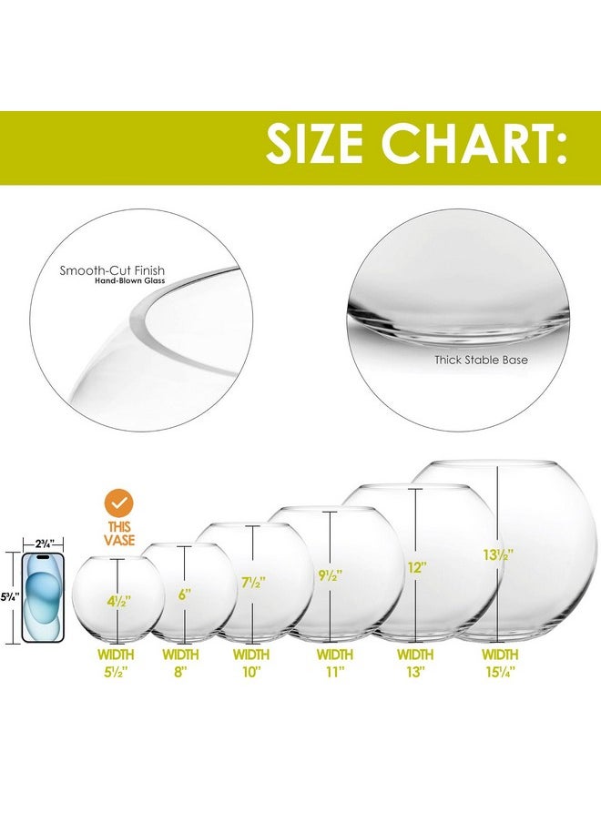 CYS EXCEL CYS EXCEL Bubble Vase (H-4.5" W-5.5", Approx. 1/4 Gal.) | Multiple Size Choices Fish Bowl | Round Terrarium Vase | Globe Flower Centerpiece  - Image 3