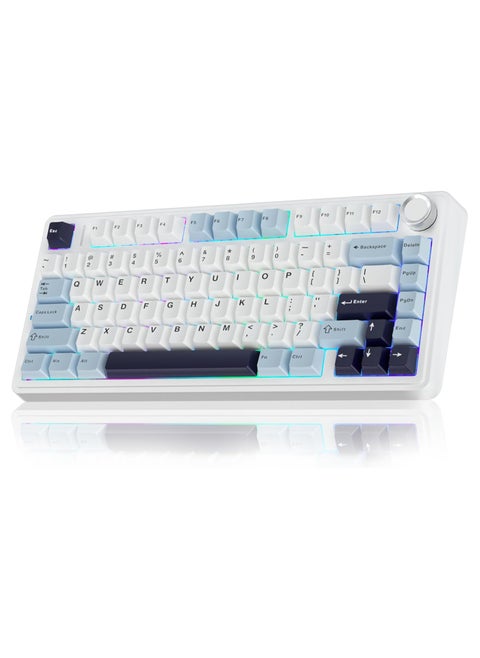 F75 75% Gaming Keyboard,Wireless Mechanical Keyboard, Hot Swappable Creamy Keyboard, Pre-lubed Greywood Switches RGB Backlit Gaming Keyboards, 3Modes (2.4GHz/Type-C/BT5.0)White/Blue