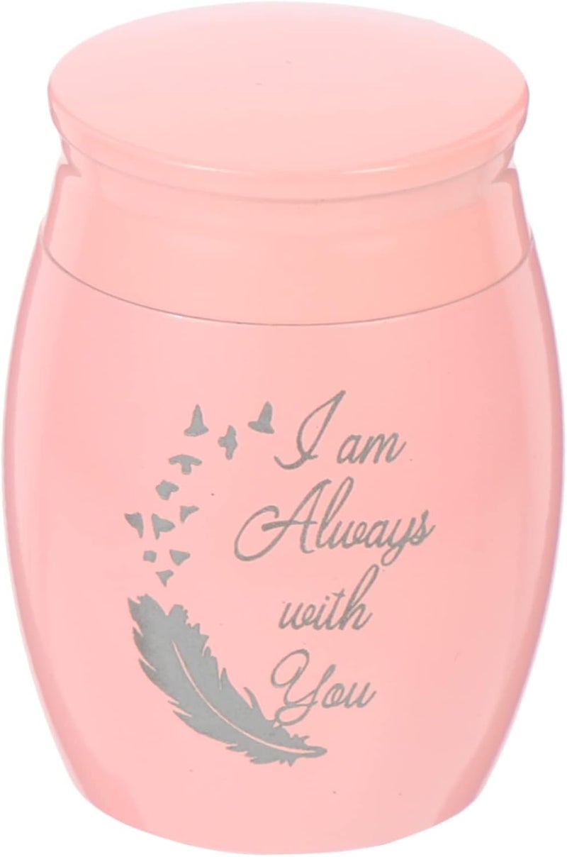Toddmomy Cat Cremation Ashes Jar Pet Ash Storage Container Small Cinerary Box Aluminum Alloy for Memorializing Your Beloved Pet and Portable Design - Image 1