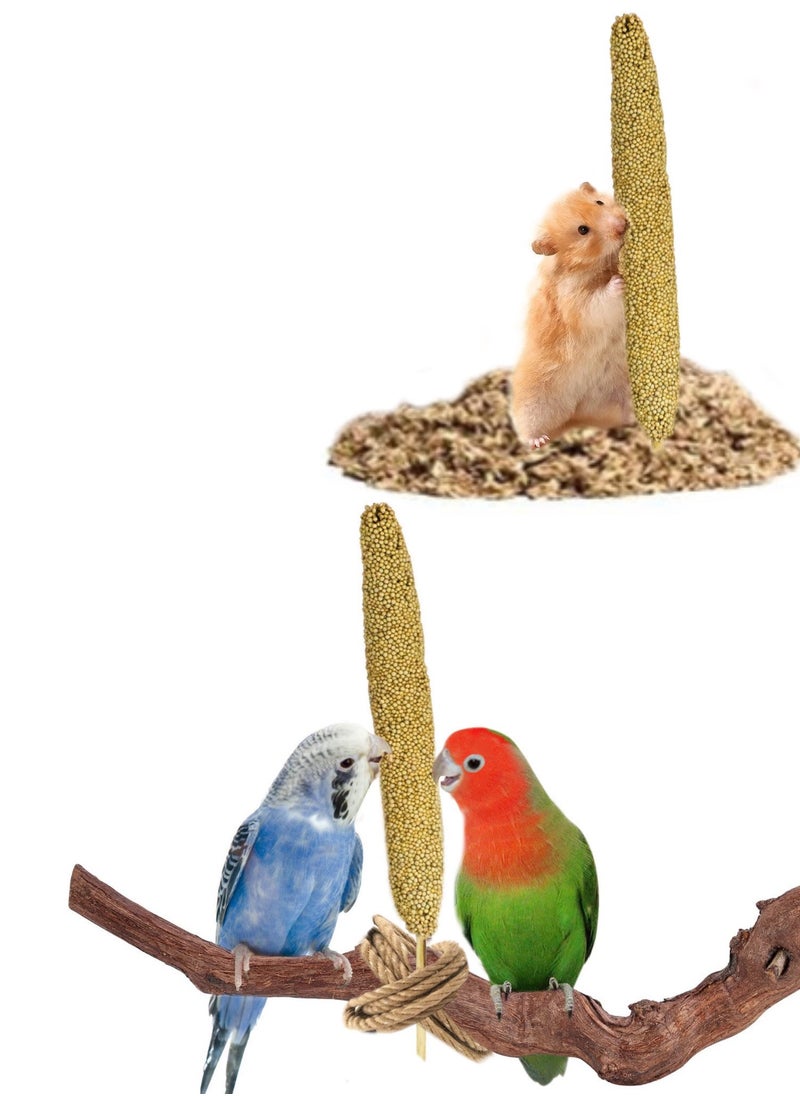 نونات - سنابل دخن عضوي للطيور والهامستر - Image 1