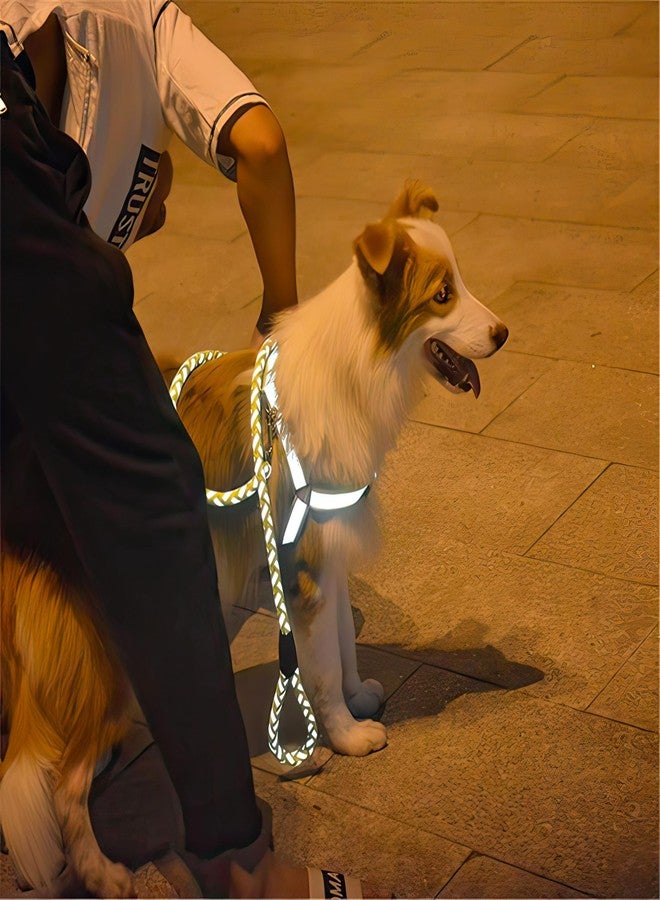 Wellway Reflective Dog Harness and Leash Set - Adjustable No Pull Pet Vest with Soft Padding, Heavy Duty Buckle, Night Safety Neon Green for Small, Medium & Large Dogs - Image 2