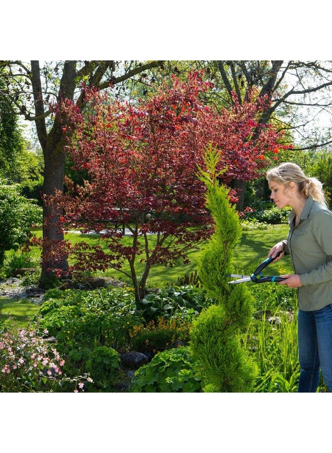 GARDENA 12302-20 PrecisionCut Hedge Shear - Image 4