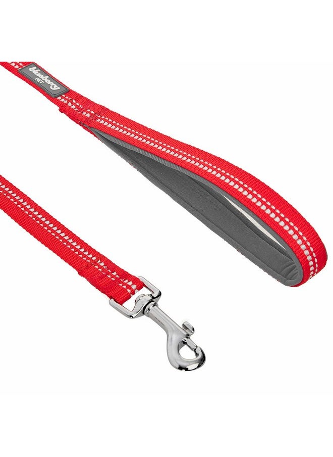Blueberry Pet Blueberry Pet 3M Reflective Pastel Color Dog Leash with Soft & Comfortable Handle, 5 ft x 3/4", Red, Medium, Leashes for Dogs  - Image 3