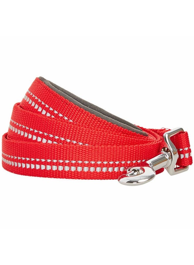 Blueberry Pet Blueberry Pet 3M Reflective Pastel Color Dog Leash with Soft & Comfortable Handle, 5 ft x 3/4", Red, Medium, Leashes for Dogs  - Image 2