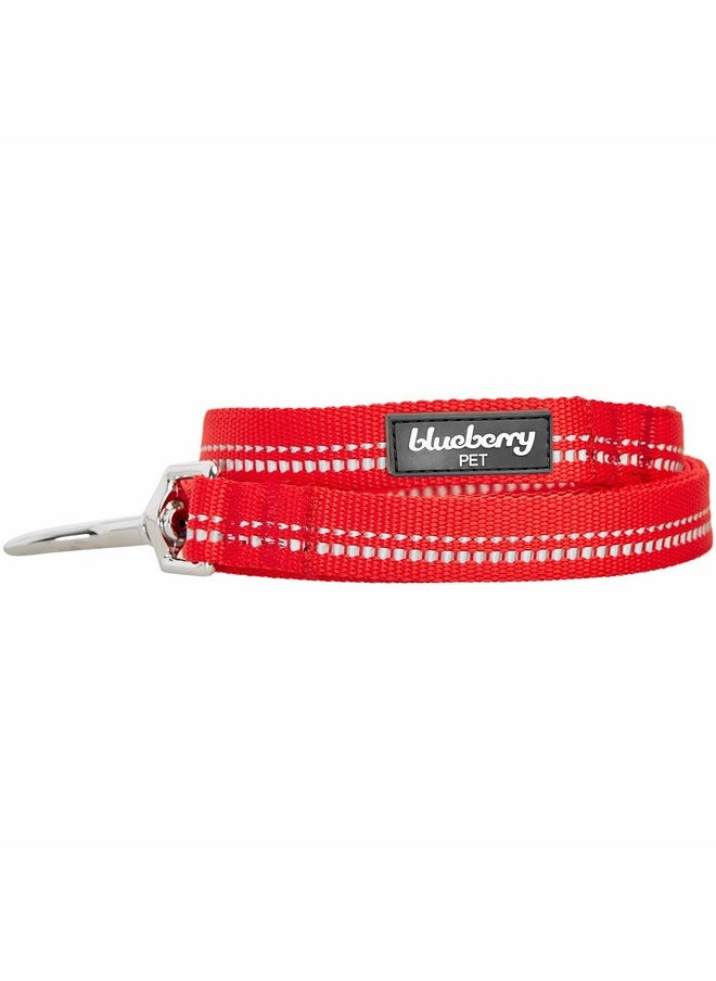 Blueberry Pet 3M Reflective Pastel Color Dog Leash with Soft & Comfortable Handle, 5 ft x 3/4", Red, Medium, Leashes for Dogs - pzsku/Z4A5FD506931CEA5F2CBFZ/45/_/1737031999/c6b289fd-5fa1-470f-ab4d-31e88cfd1fa9