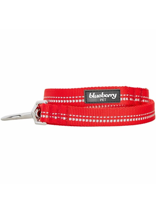 Blueberry Pet Blueberry Pet 3M Reflective Pastel Color Dog Leash with Soft & Comfortable Handle, 5 ft x 3/4", Red, Medium, Leashes for Dogs  - Image 1