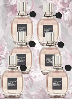6 Pieces Carlotta Wild Flower EDP 100ML