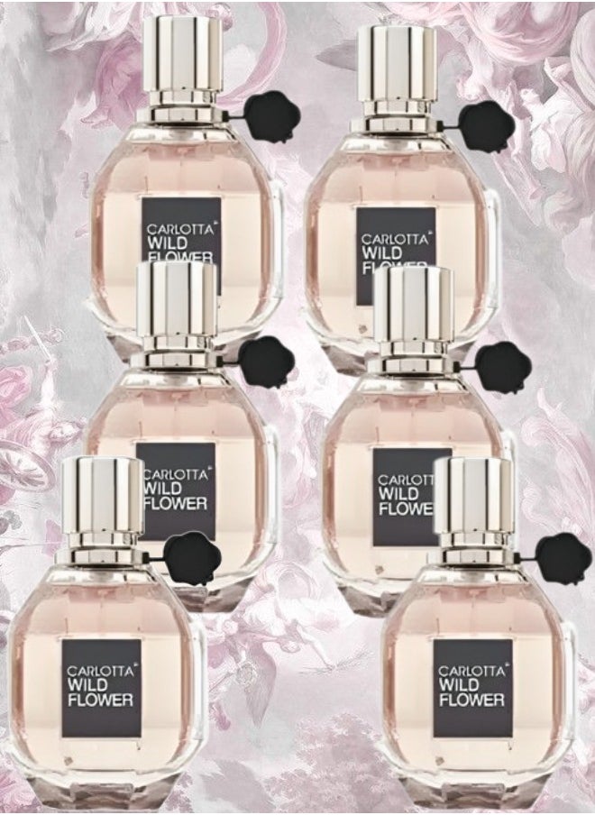 Carlotta - 6 Pieces Carlotta Wild Flower EDP 100ML - Image 1