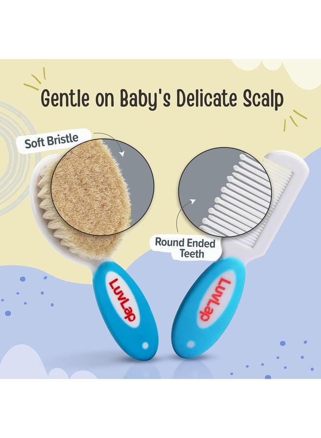 Luvlap Baby Comb with Rounded Tip & Baby Hair Brush with Natural Bristles for Baby Hair Grooming & Better Protection of Baby's Scalp (White & Blue) - Image 2