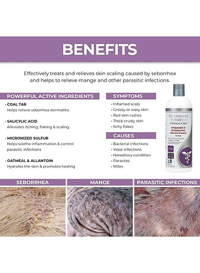 Veterinary Formula شامبو مضاد للطفيليات ومضاد للقشرة للكلاب - 473 مل - Image 2