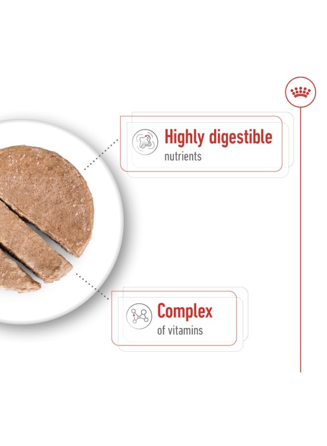 رويال كانين حجم هيلث نيوتريشن ميني للبالغين (طعام رطب - علبة) 195 جم - Image 3