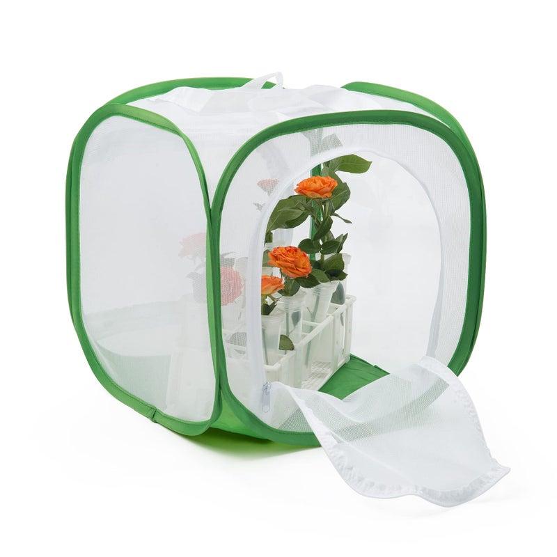 RESTCLOUD Two Doors Monarch Butterfly Habitat, Insect Mesh Cage, Caterpillar Enclosure Terrarium Pop-up (12 X 12 X 12 Inches) - Image 4