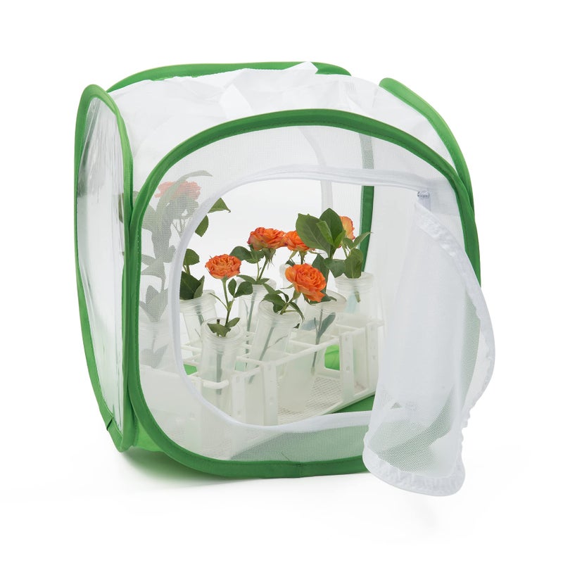 RESTCLOUD Two Doors Monarch Butterfly Habitat, Insect Mesh Cage, Caterpillar Enclosure Terrarium Pop-up (12 X 12 X 12 Inches) - Image 3