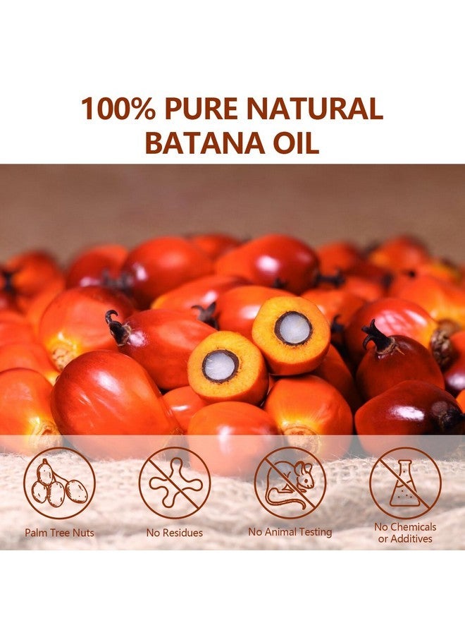 Samnyte Batana Oil for Hair Growth, Increases Baby Hair by 30%, Batana Oil Organic, Batana Hair Oil From Honduras, Not Tested on Animals, Prevents Hair Loss, For Hair, Eyelashes & Eyebrows - 4.2 oz - Image 4