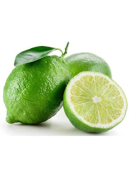 SKYCOM Skycom Nature Care Lemon Plant Hybrid Pack of 1  - Image 3