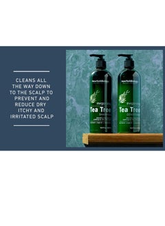 NEW YORK BIOLOGY THE ULTIMATE COSMECEUTICALS Tea Tree Shampoo and Conditioner Set Deep Cleansing for Relief of Dandruff Dry and Itchy Scalp Therapeutic Grade Helps Promote Hair Growth 500ml  - Image 4