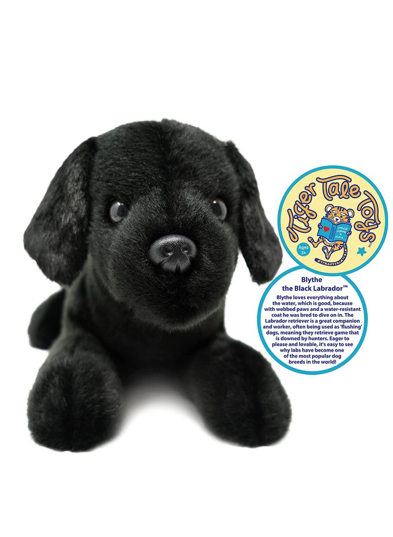 فياهارت فيهارت بليث الكلب الأسود الناعم لعبة محشوة للأطفال | حيوانات محشوة قابلة للعناق | ألعاب منفوخة للأطفال، الأطفال الصغار | قماش بوليستر | حشو بولي بروبيلين | العمر الموصى به 3+ - Image 2