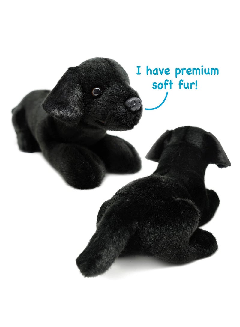 فياهارت فيهارت بليث الكلب الأسود الناعم لعبة محشوة للأطفال | حيوانات محشوة قابلة للعناق | ألعاب منفوخة للأطفال، الأطفال الصغار | قماش بوليستر | حشو بولي بروبيلين | العمر الموصى به 3+ - Image 4