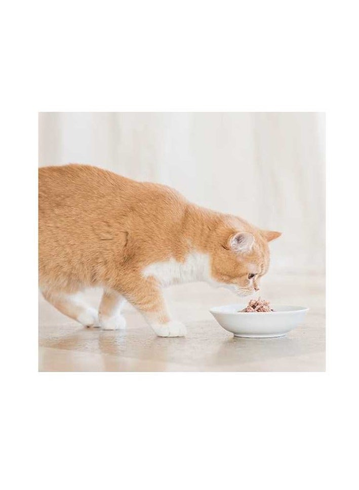 Schesir Cat Multipack Can Tuna With Seabass-6x50g - Image 4