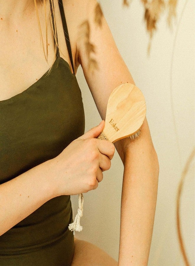 Esker Dry Brush: Skin Exfoliating Full Body Brush for Better Circulation and Energy Flow, Made with Natural Tree Wood, Perfect for Bathing or Shower Routine - Image 3