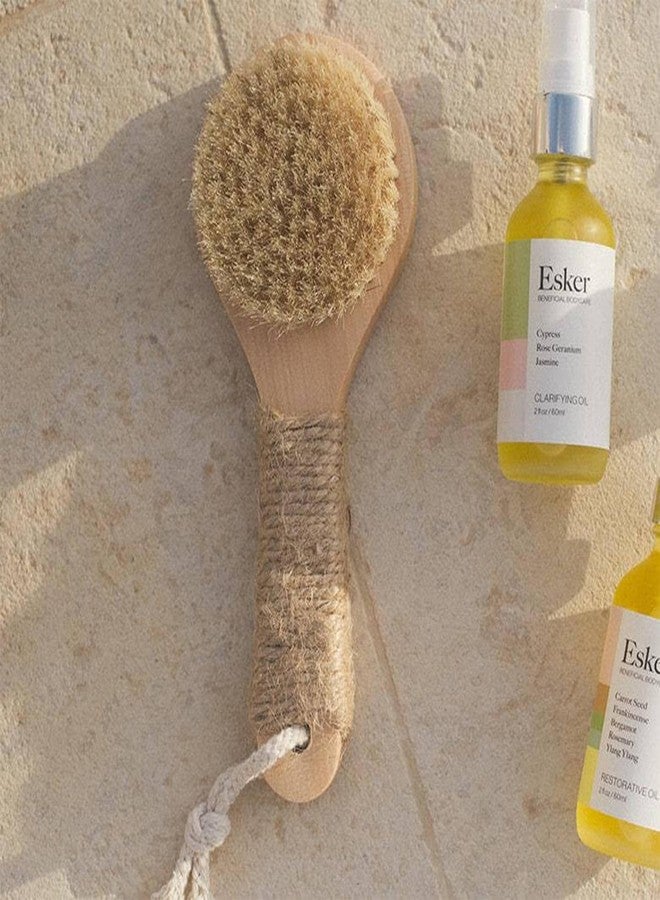 Esker Dry Brush: Skin Exfoliating Full Body Brush for Better Circulation and Energy Flow, Made with Natural Tree Wood, Perfect for Bathing or Shower Routine - Image 5