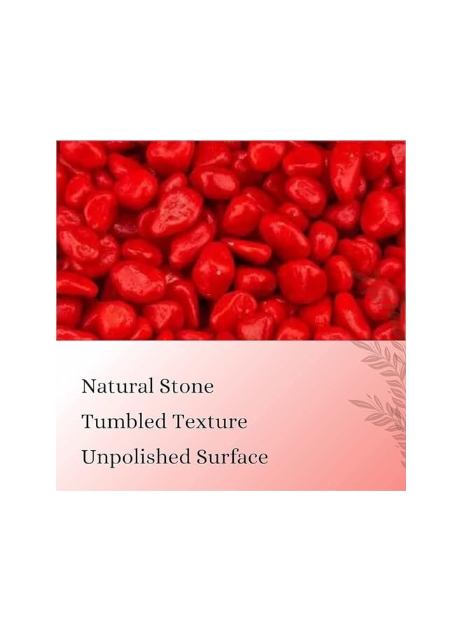 The Bros Decorative Stone 500 Gram for Fish Aquarium and Flower, Decor Pebbles, for Outdoor & Indoor Home Garden Decoration, Arts & Crafts Projects, Party Favors (500 Gram, Red) - Image 2