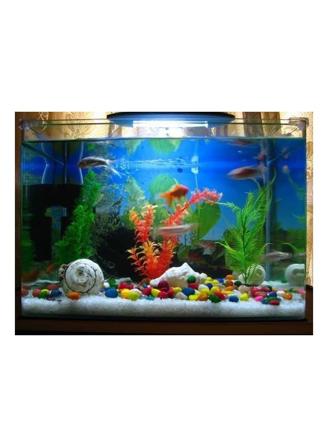 The Bros Decorative Stone 500 Gram for Fish Aquarium and Flower, Decor Pebbles, for Outdoor & Indoor Home Garden Decoration, Arts & Crafts Projects, Party Favors (500 Gram, Red) - Image 3