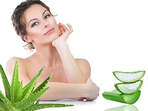 KHADI RISHIKESH Khadi Rishikesh Pure Aloe Vera Skin Gel Multipurpose Beauty Gel Reduce Acne Wrinkles Glowing Radiant Skin Hydrating Gel for Face Men Women All Skin Types 150gmWith Nailcutter Free - Image 4