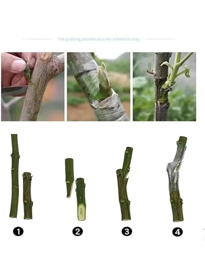 هوكور شريط تطعيم الحديقة من بورتالوف، 4 أشرطة إصلاح النباتات، حاجز الرطوبة، غشاء شفاف قابل للتمدد من بلاستيك PVC للفاكهة والزهور والأشجار والنباتات، شريط برعم للحضانة، أخضر، 5 سم × 110 متر - Image 3