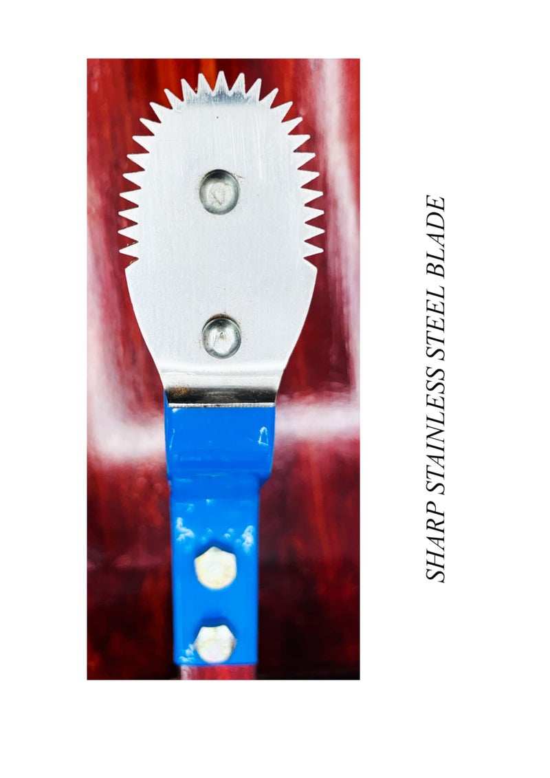 MEXZA™ Wooden Premium Table Top Coconut Scraper Chirava Grater Thengai Thuruvi Stainless Steel Neck - Image 4