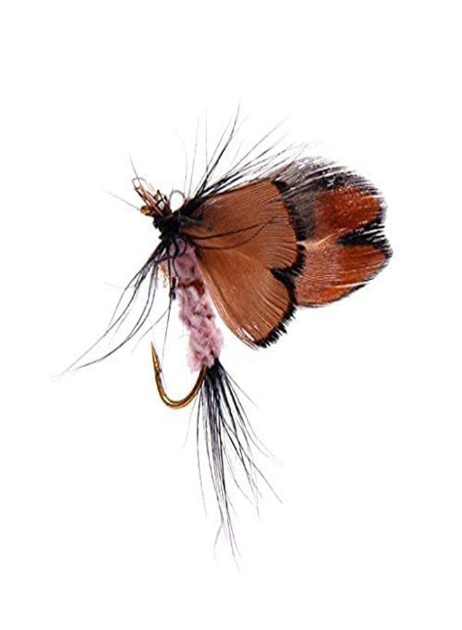 AUF 12pcs Butterfly Design Dry Fly Fishing Flies Fish Lure Hook Accessories - Image 4