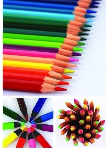 Fatih 24 Colors Full Size Metal Tube Dry Paint (33224)  - Image 2