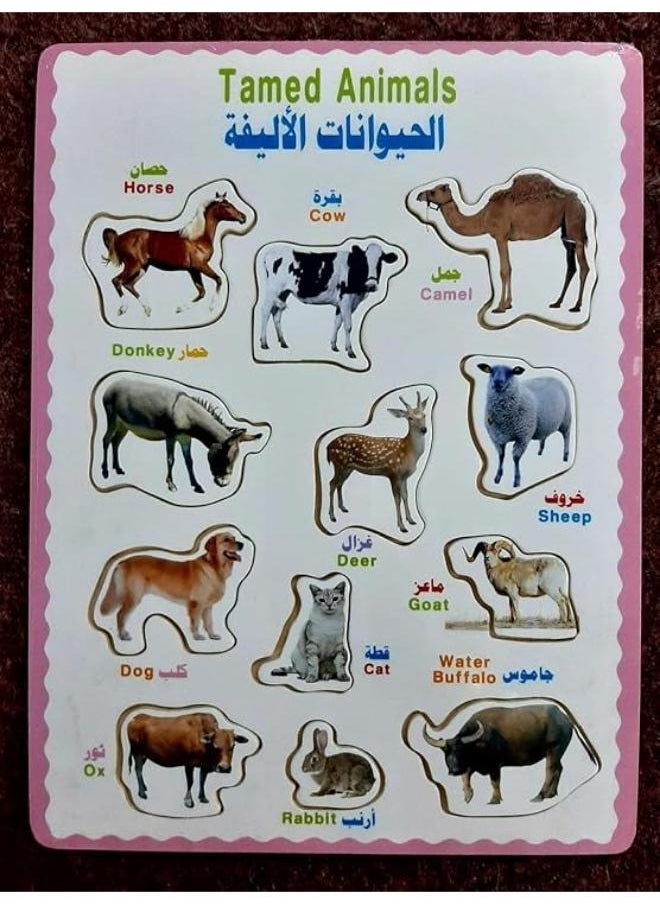 null - Farm Animals Matching - Image 1