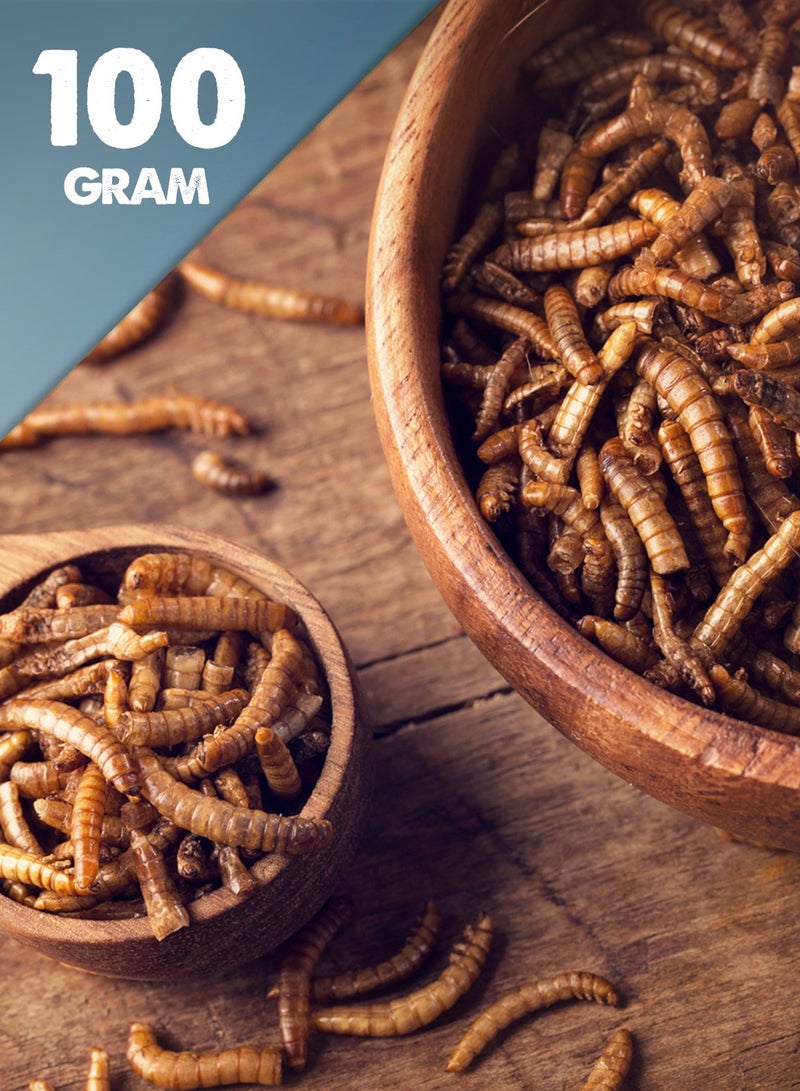 HJ Premium Quality Dried Mealworms for Small Pets, Bird and Reptiles 100g  - Image 2
