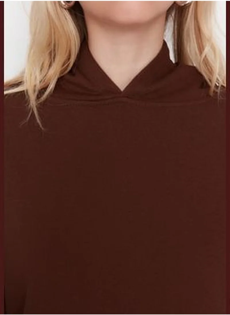 trendyol Brown Regular/Normal Wear Basic with a Hooded Fleece Inside Knitted Sweatshirt TWOAW23SW00004.