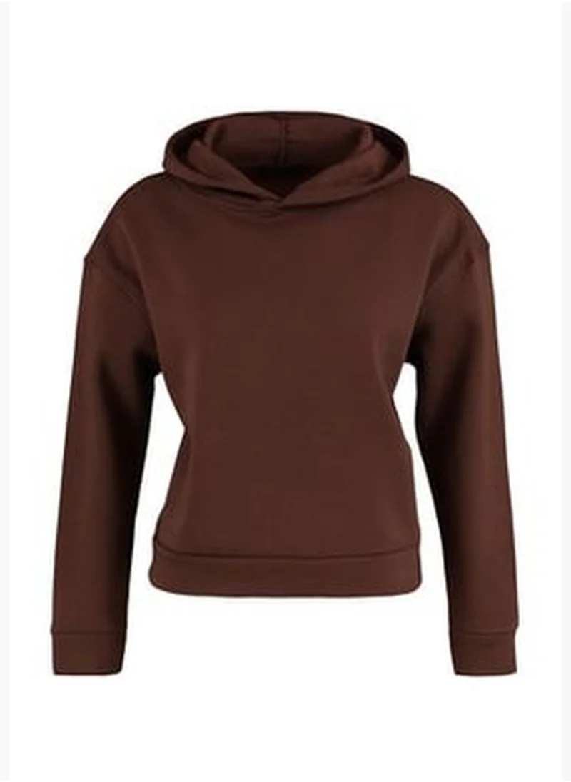 trendyol Brown Regular/Normal Wear Basic with a Hooded Fleece Inside Knitted Sweatshirt TWOAW23SW00004.
